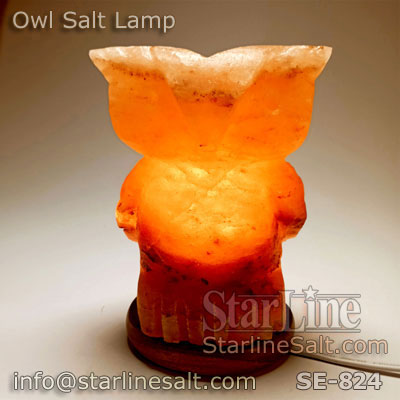 Pink Salt Owl Lamp